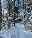 Winter Views of Sledding Paths 